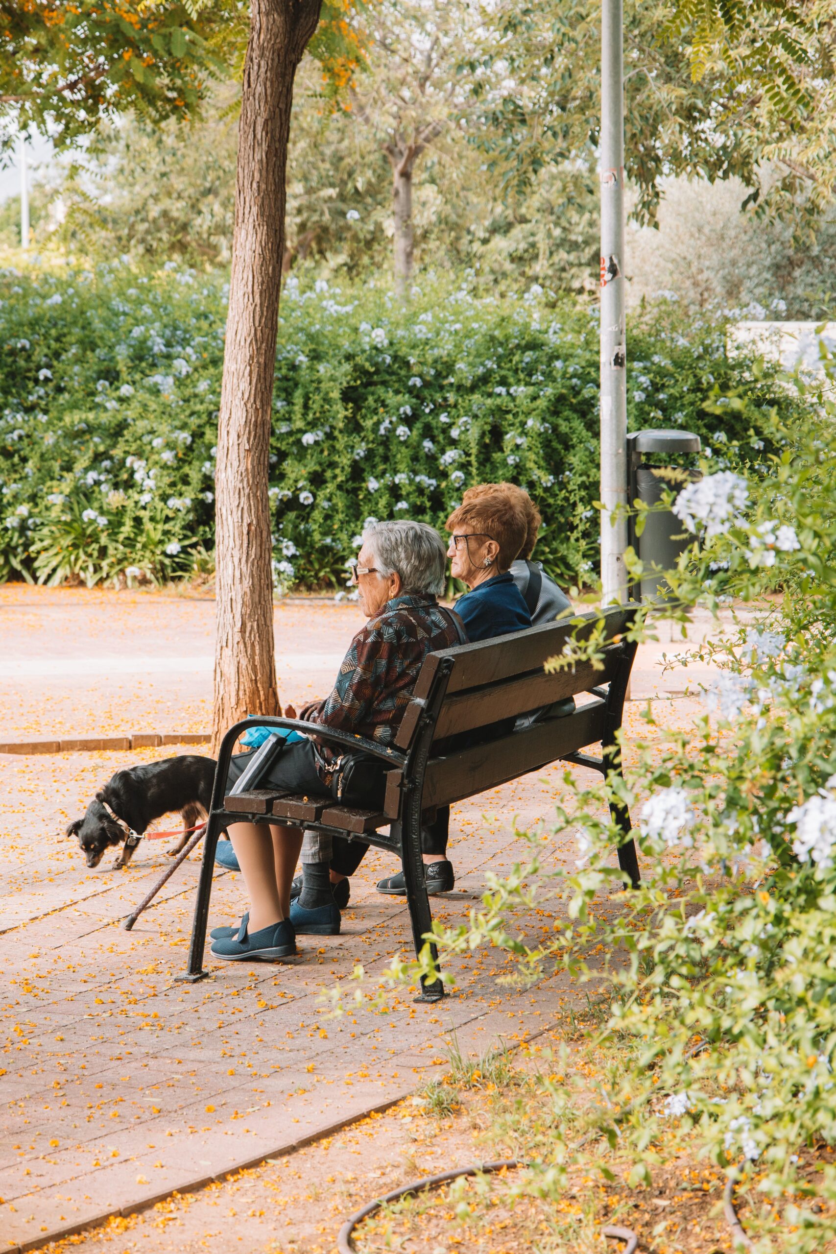 Embracing Change: Adapting HOA Communities to an Aging Population